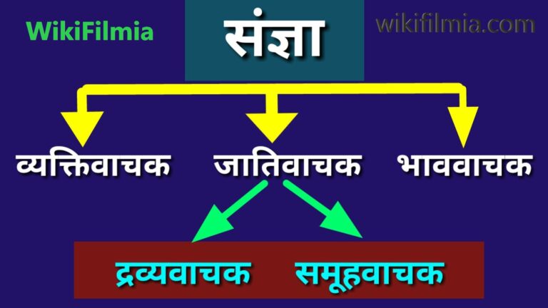 संज्ञा : व्यक्तिवाचक संज्ञा, जातिवाचक संज्ञा, भाववाचक संज्ञा | हिन्दी व्याकरण- WikiFilmia